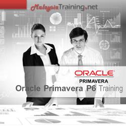 Project Management with Primavera P6 Training Course